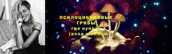 кокс Белокуриха