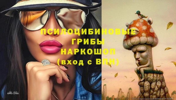 кокс Белокуриха
