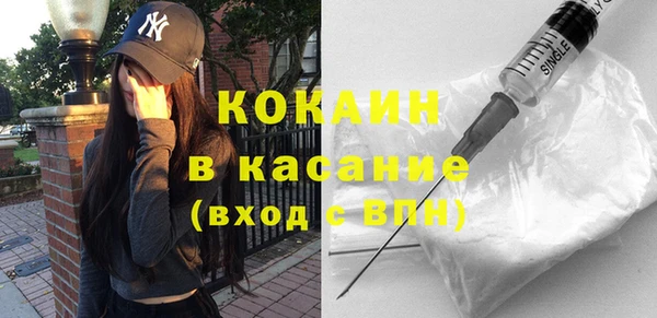 гашик Богданович