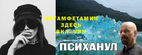 гашик Богданович