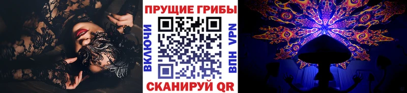 KRAKEN онион  Бородино  Галлюциногенные грибы Psilocybe 